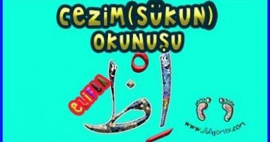cezim sükun nedir, cezim okunuşu elifba harekeler, 4-6 yaş kuran kursu, cezim şarkısı, sükun