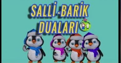 salli barik duaları, çocuklar için dualar. namaz duaları ettehiyyatü, penguen duaları kuran kursu etkinlikleri didiyomtv