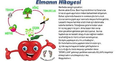 elma, elmanın hikayesi, ilk gün etkinliği