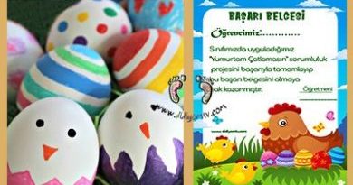 Yumurtam Çatlamasın