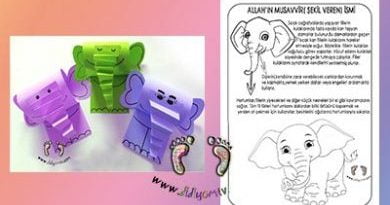 Allah'ın Musavvir İsmi, Esma'ul Hüsna Etkinliği