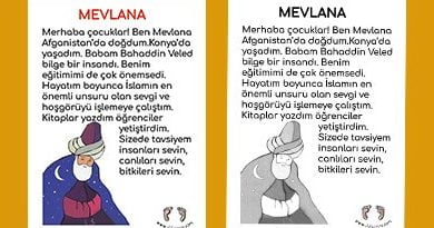 Mevlana Hayatı Kısaca