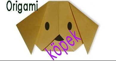 Origami Köpek Yapımı - Origami Köpek