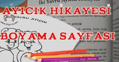 Ayıcık Hikayesi Boyama - İki Yavru Ayıcık Etkinliği, ayı boyama sayfası