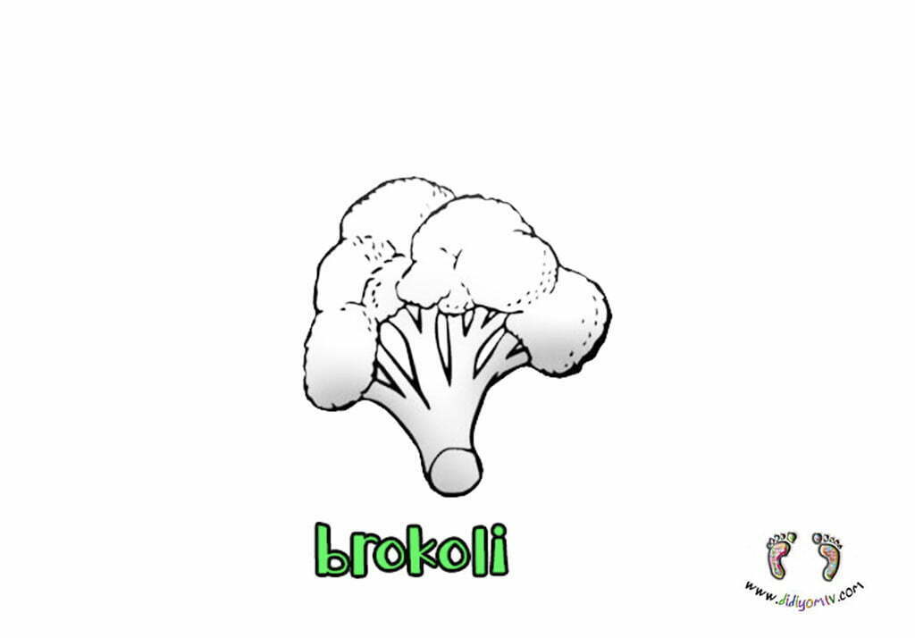 Brokoli boyama sayfası-Yeşil meyve sebze boyama-Broccoli color