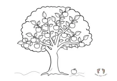 Elma ağacı boyama sayfası – Apple Tree Pictures To Color