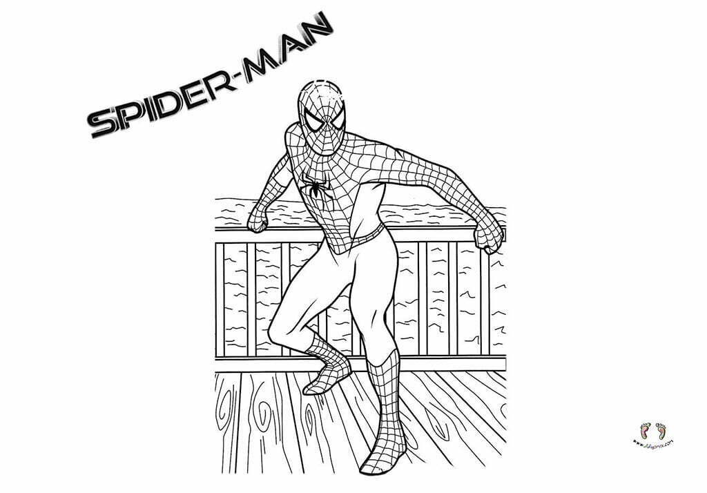 spiderman colors - Örümcek Adam Boyama