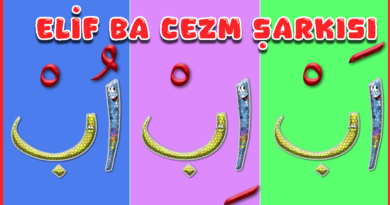 ELIF-BA-CEZM-SARKISI-CEZIM-SUKUN-SARKISI.